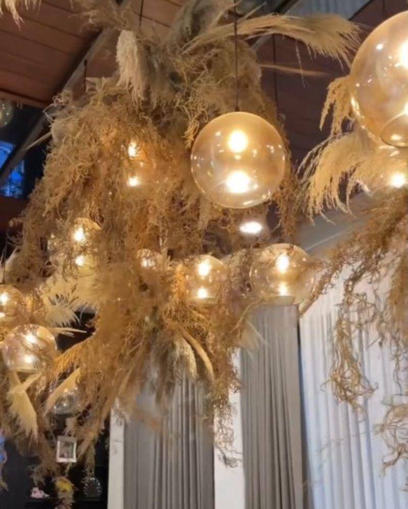 Tiktok.com/rachelvennya